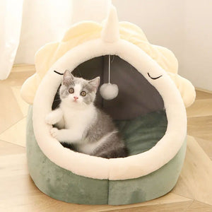 Pet House with Toy