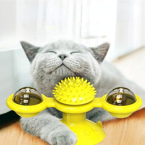 Cats Whirling LED Balls